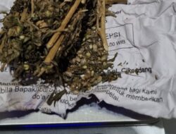 Diduga Edarkan Ekstasi dan Ganja, Seorang Pria di Sukabumi Diringkus Polisi