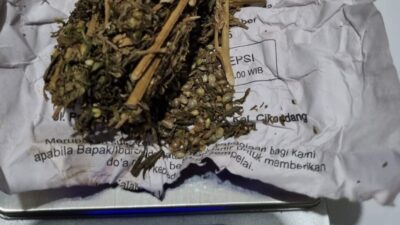 Diduga Edarkan Ekstasi dan Ganja, Seorang Pria di Sukabumi Diringkus Polisi