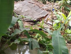 Hujan Deras dan Angin Kencang Akibatkan Rumah Warga di Sukakarya Ambruk