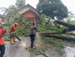 Cuaca Ekstrem Terjang Kota Sukabumi: Puluhan Titik Terdampak Pohon Tumbang dan Kerusakan Rumah