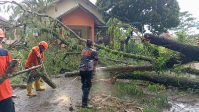 Cuaca Ekstrem Terjang Kota Sukabumi: Puluhan Titik Terdampak Pohon Tumbang dan Kerusakan Rumah