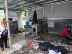Inovatif! RW 1 Warudoyong Sulap Sampah Jadi Emas Lewat Budi Daya Maggot