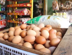Kabar Baik Emak-Emak! Harga Daging Ayam dan Telur di Sukabumi Kompak Turun