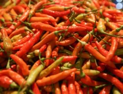 Kabar Baik untuk Dapur Warga! Harga Cabai Rawit Merah di Kota Sukabumi Mulai Jinak