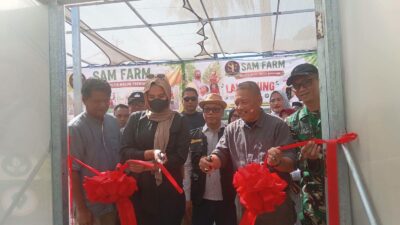 Terobosan Baru Agrowisata Sukabumi: Wisata Petik Melon Premium SAM FARM Resmi Dibuka di Cisolok